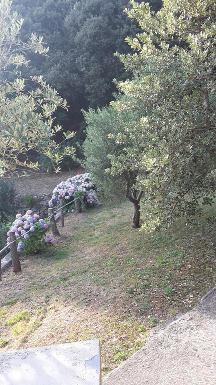 Arvasia Vernazza Bagian luar foto